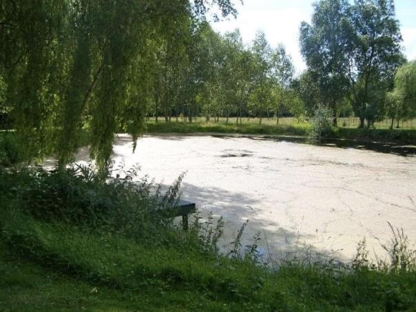 La Chapelle-Saint-Remy Cottage Proche Circuit 24 Heures Le Mans Proche De Paris Jeux Olympiques Autoroute A 5Km מראה חיצוני תמונה